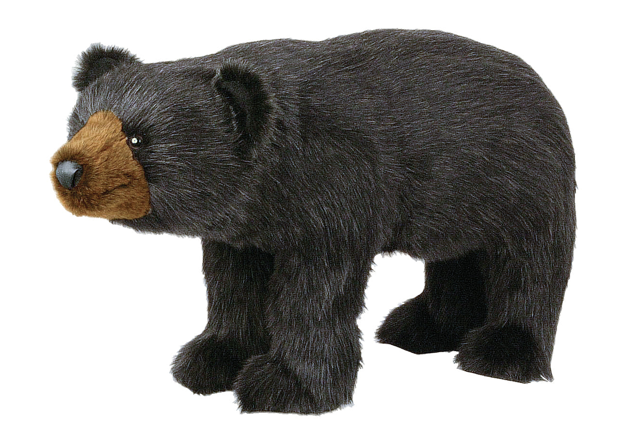 Large Sitting Ditz Black Bear store